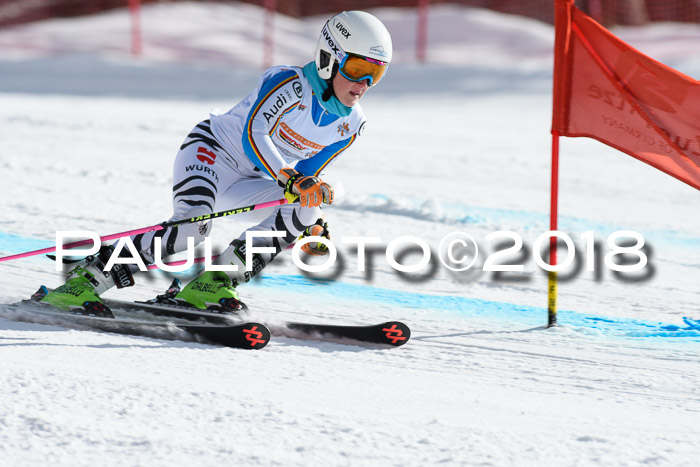 Dt. Schülercup U16 Finale, Riesenslalom, 03.03.2018