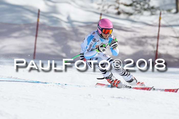 Dt. Schülercup U16 Finale, Riesenslalom, 03.03.2018