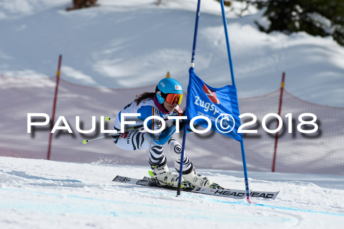 Dt. Schülercup U16 Finale, Riesenslalom, 03.03.2018