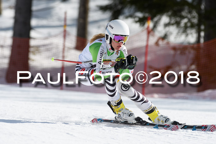 Dt. Schülercup U16 Finale, Riesenslalom, 03.03.2018