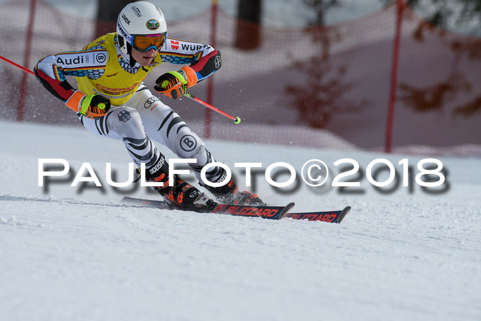 Dt. Schülercup U16 Finale, Riesenslalom, 03.03.2018