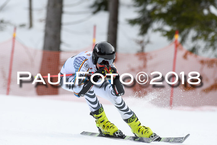 Dt. Schülercup U16 Finale, Riesenslalom, 03.03.2018