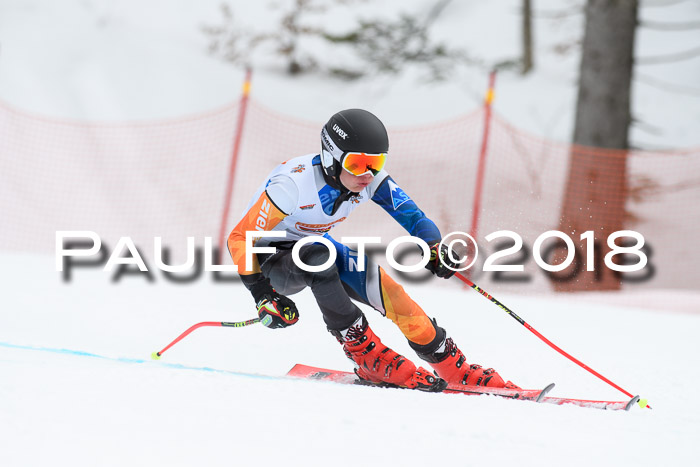 Dt. Schülercup U16 Finale, Riesenslalom, 03.03.2018