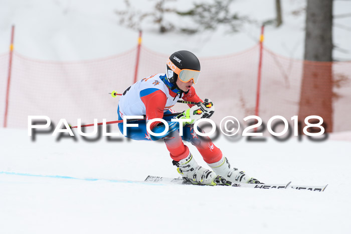 Dt. Schülercup U16 Finale, Riesenslalom, 03.03.2018