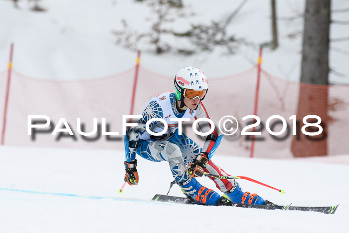 Dt. Schülercup U16 Finale, Riesenslalom, 03.03.2018