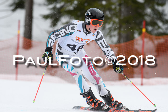 Dt. Schülercup U16 Finale, Riesenslalom, 03.03.2018