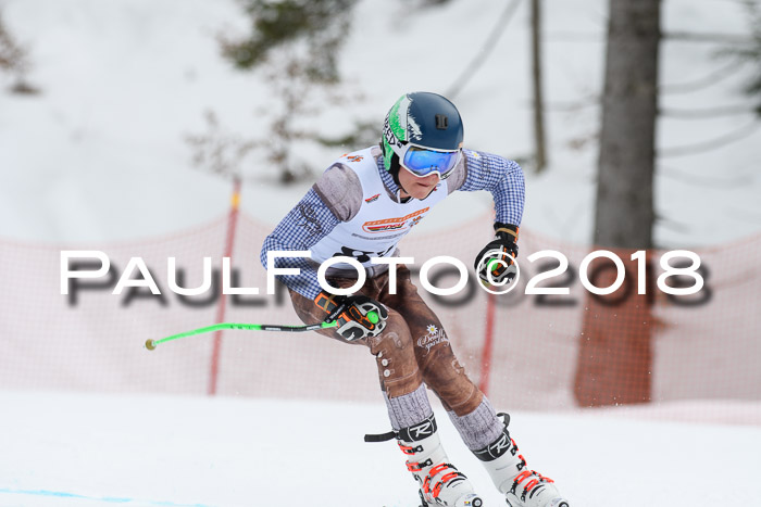 Dt. Schülercup U16 Finale, Riesenslalom, 03.03.2018