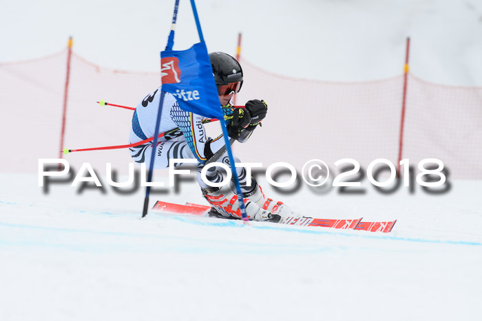 Dt. Schülercup U16 Finale, Riesenslalom, 03.03.2018