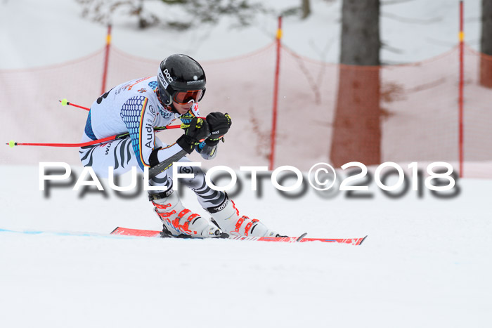 Dt. Schülercup U16 Finale, Riesenslalom, 03.03.2018