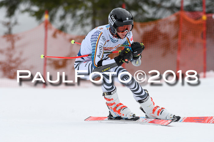 Dt. Schülercup U16 Finale, Riesenslalom, 03.03.2018