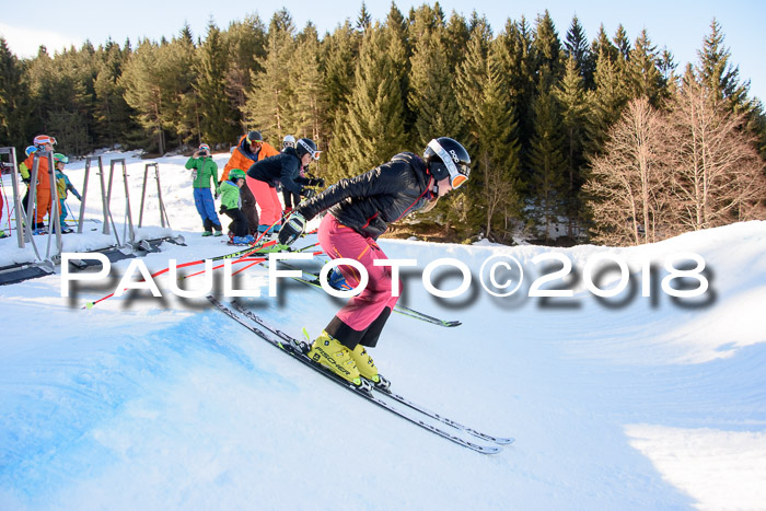 SkiCross Training Mittenwald 04.03.2018