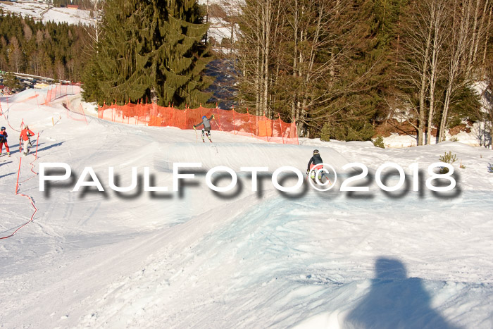 SkiCross Training Mittenwald 04.03.2018