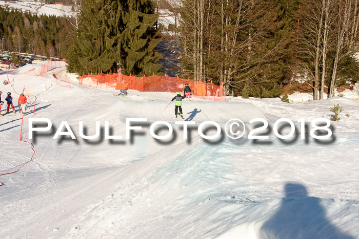 SkiCross Training Mittenwald 04.03.2018