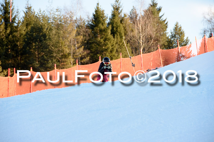 SkiCross Training Mittenwald 04.03.2018