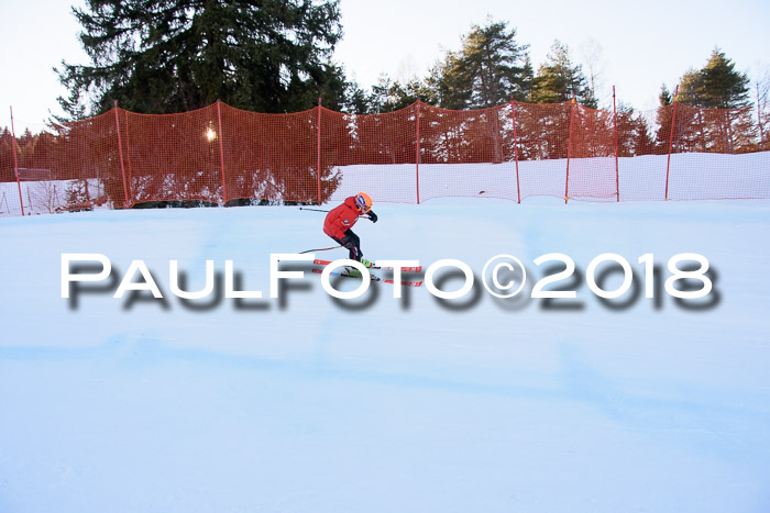 SkiCross Training Mittenwald 04.03.2018