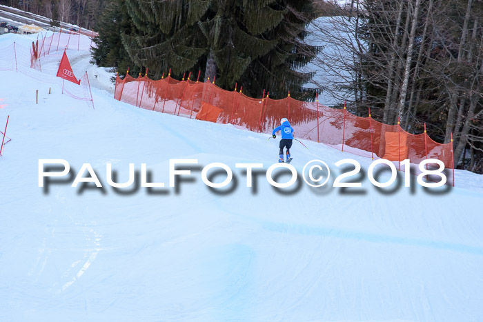 SkiCross Training Mittenwald 04.03.2018