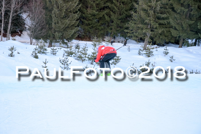 SkiCross Training Mittenwald 04.03.2018