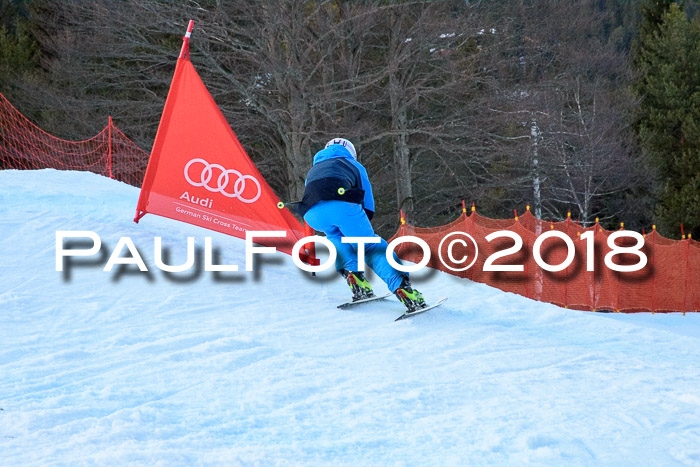 SkiCross Training Mittenwald 04.03.2018