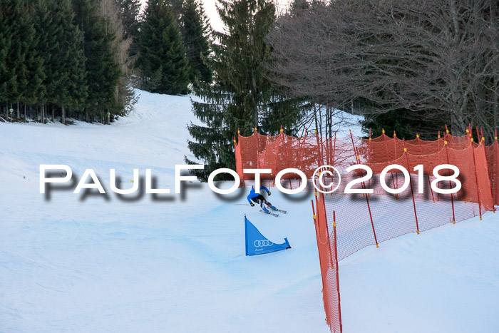 SkiCross Training Mittenwald 04.03.2018
