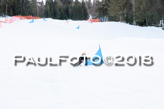 SkiCross Training Mittenwald 04.03.2018