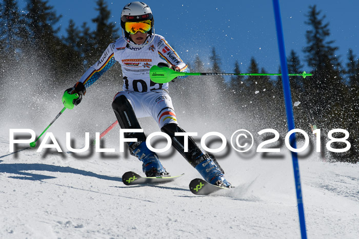 Dt. Schülercup U14 Finale, Slalom, 04.03.2018