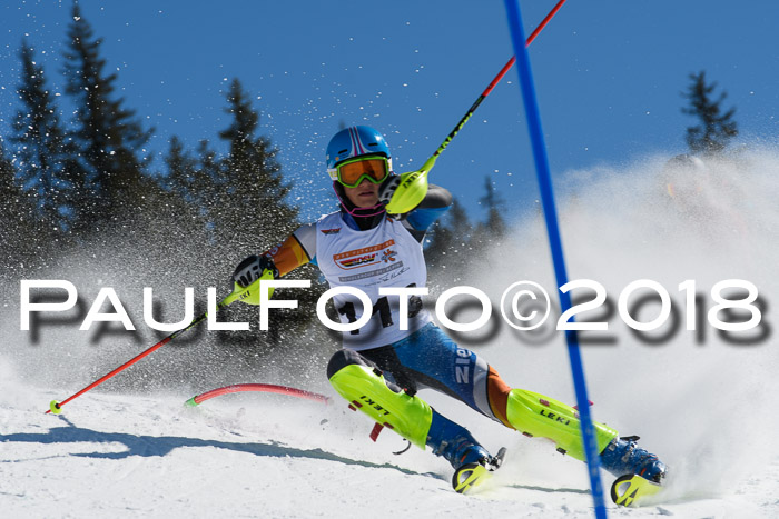 Dt. Schülercup U14 Finale, Slalom, 04.03.2018