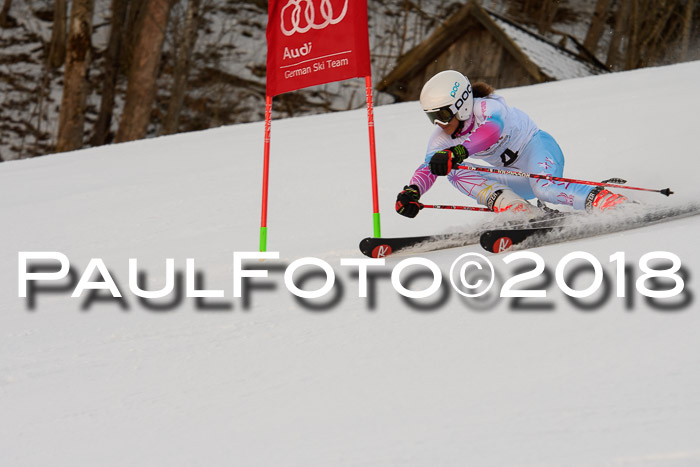 Dt. Schülercup U16 Finale,Parallelslalom, 04.03.2018, Siegerehrungen DSC gesamt