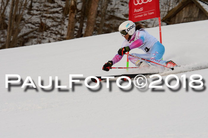 Dt. Schülercup U16 Finale,Parallelslalom, 04.03.2018, Siegerehrungen DSC gesamt