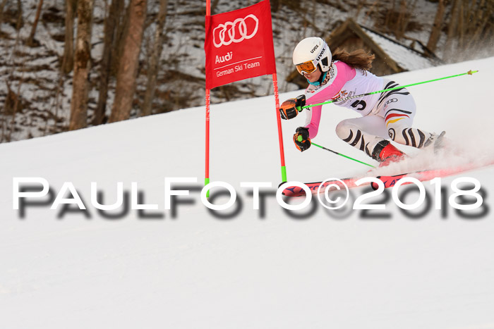 Dt. Schülercup U16 Finale,Parallelslalom, 04.03.2018, Siegerehrungen DSC gesamt