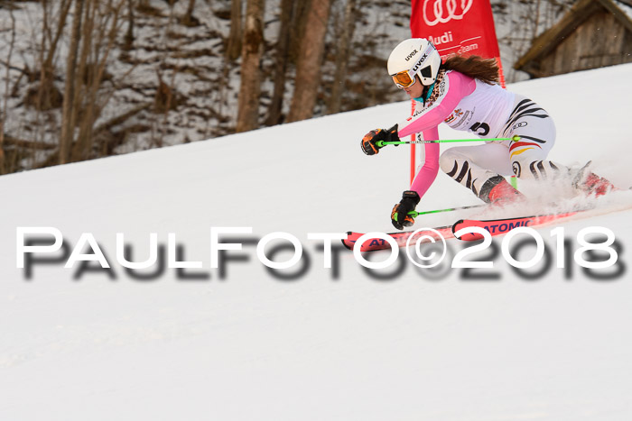 Dt. Schülercup U16 Finale,Parallelslalom, 04.03.2018, Siegerehrungen DSC gesamt