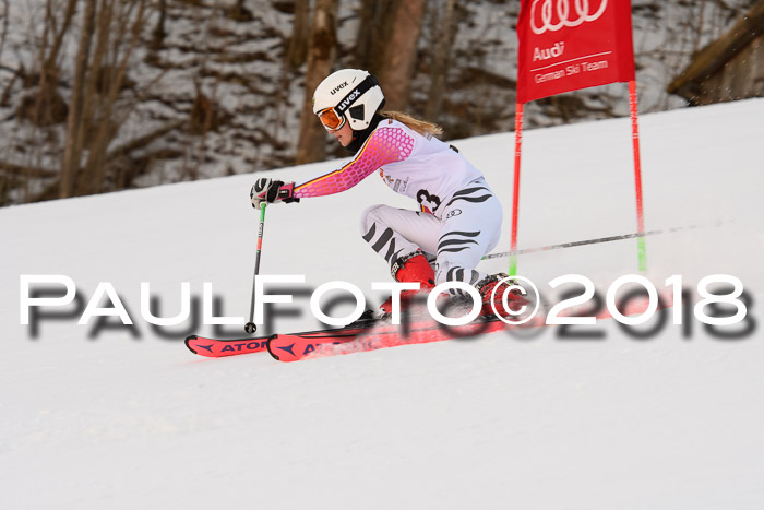 Dt. Schülercup U16 Finale,Parallelslalom, 04.03.2018, Siegerehrungen DSC gesamt