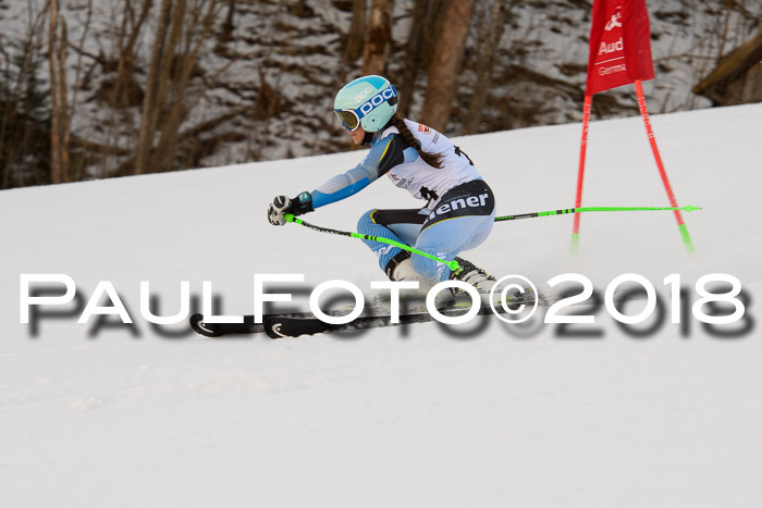 Dt. Schülercup U16 Finale,Parallelslalom, 04.03.2018, Siegerehrungen DSC gesamt