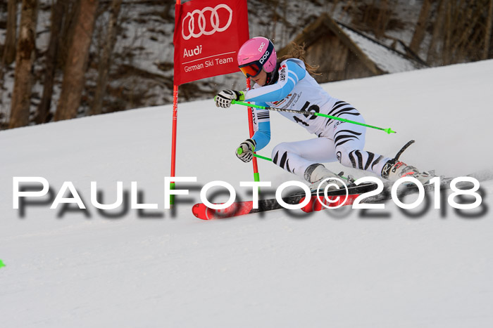 Dt. Schülercup U16 Finale,Parallelslalom, 04.03.2018, Siegerehrungen DSC gesamt