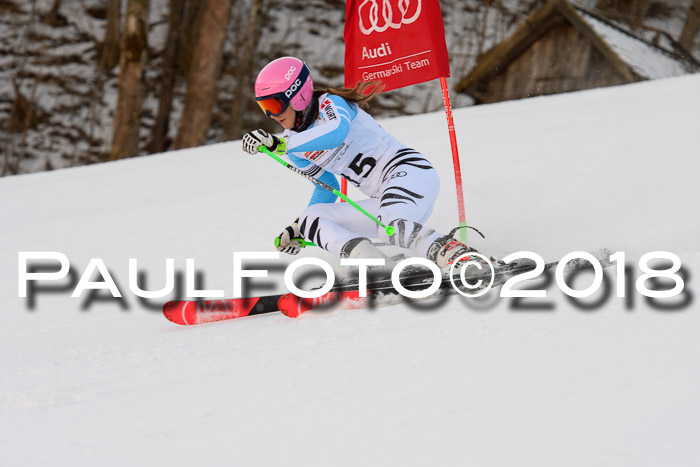 Dt. Schülercup U16 Finale,Parallelslalom, 04.03.2018, Siegerehrungen DSC gesamt