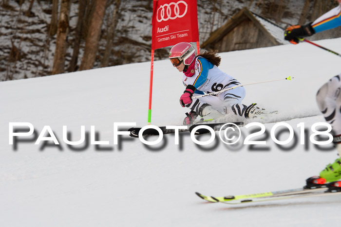 Dt. Schülercup U16 Finale,Parallelslalom, 04.03.2018, Siegerehrungen DSC gesamt