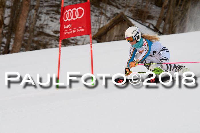 Dt. Schülercup U16 Finale,Parallelslalom, 04.03.2018, Siegerehrungen DSC gesamt