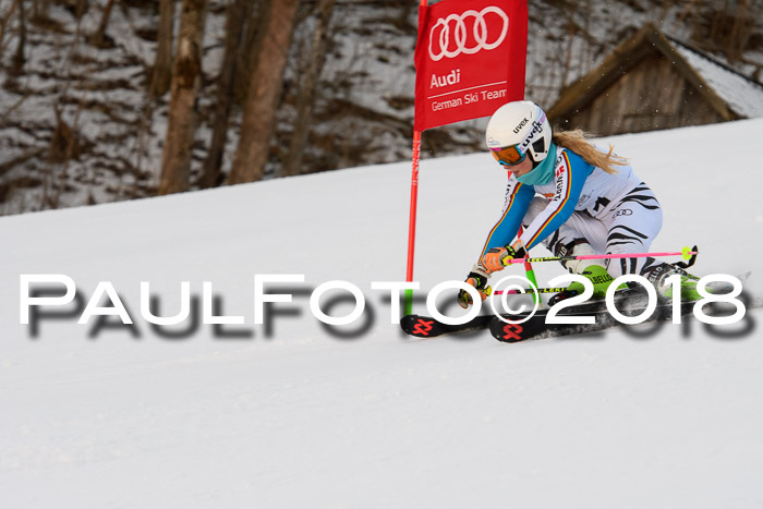 Dt. Schülercup U16 Finale,Parallelslalom, 04.03.2018, Siegerehrungen DSC gesamt