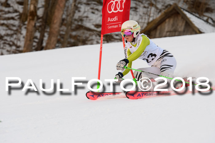 Dt. Schülercup U16 Finale,Parallelslalom, 04.03.2018, Siegerehrungen DSC gesamt
