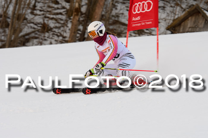 Dt. Schülercup U16 Finale,Parallelslalom, 04.03.2018, Siegerehrungen DSC gesamt