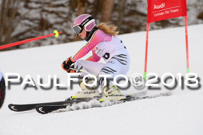Dt. Schülercup U16 Finale,Parallelslalom, 04.03.2018, Siegerehrungen DSC gesamt