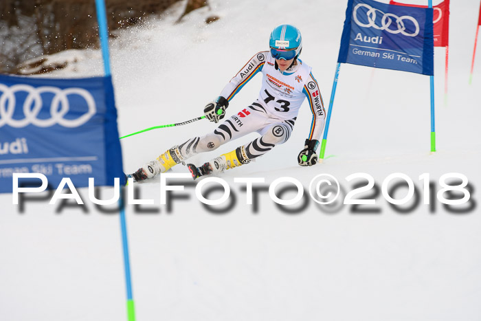 Dt. Schülercup U16 Finale,Parallelslalom, 04.03.2018, Siegerehrungen DSC gesamt