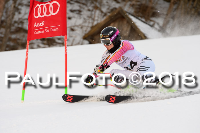 Dt. Schülercup U16 Finale,Parallelslalom, 04.03.2018, Siegerehrungen DSC gesamt