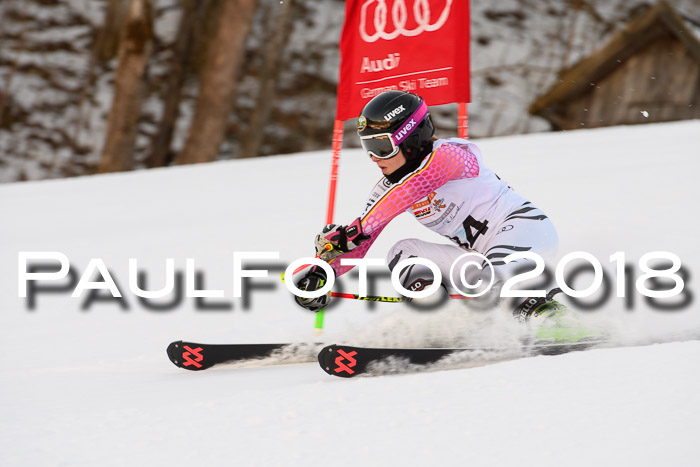 Dt. Schülercup U16 Finale,Parallelslalom, 04.03.2018, Siegerehrungen DSC gesamt