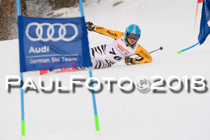 Dt. Schülercup U16 Finale,Parallelslalom, 04.03.2018, Siegerehrungen DSC gesamt
