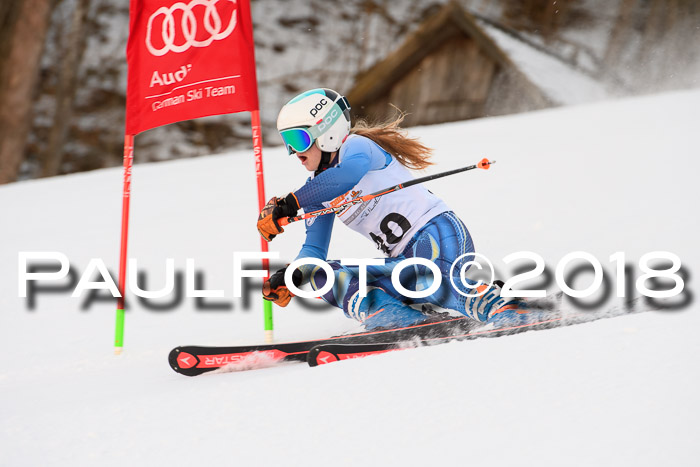Dt. Schülercup U16 Finale,Parallelslalom, 04.03.2018, Siegerehrungen DSC gesamt