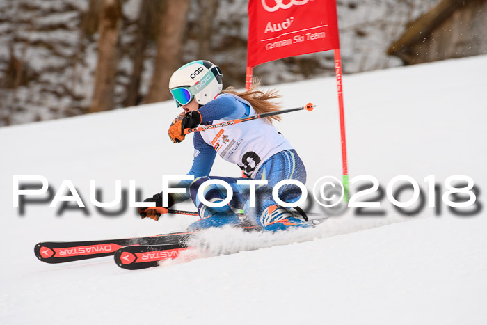 Dt. Schülercup U16 Finale,Parallelslalom, 04.03.2018, Siegerehrungen DSC gesamt