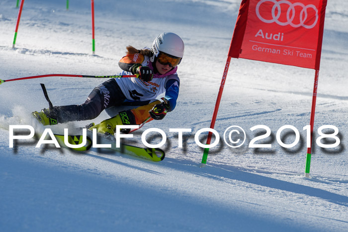Dt. Schülercup U16 Finale,Parallelslalom, 04.03.2018, Siegerehrungen DSC gesamt