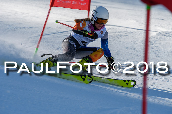 Dt. Schülercup U16 Finale,Parallelslalom, 04.03.2018, Siegerehrungen DSC gesamt