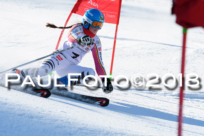 Dt. Schülercup U16 Finale,Parallelslalom, 04.03.2018, Siegerehrungen DSC gesamt