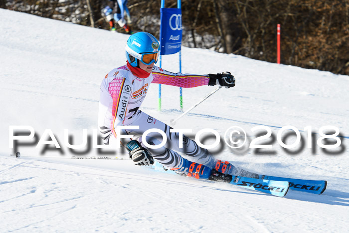 Dt. Schülercup U16 Finale,Parallelslalom, 04.03.2018, Siegerehrungen DSC gesamt